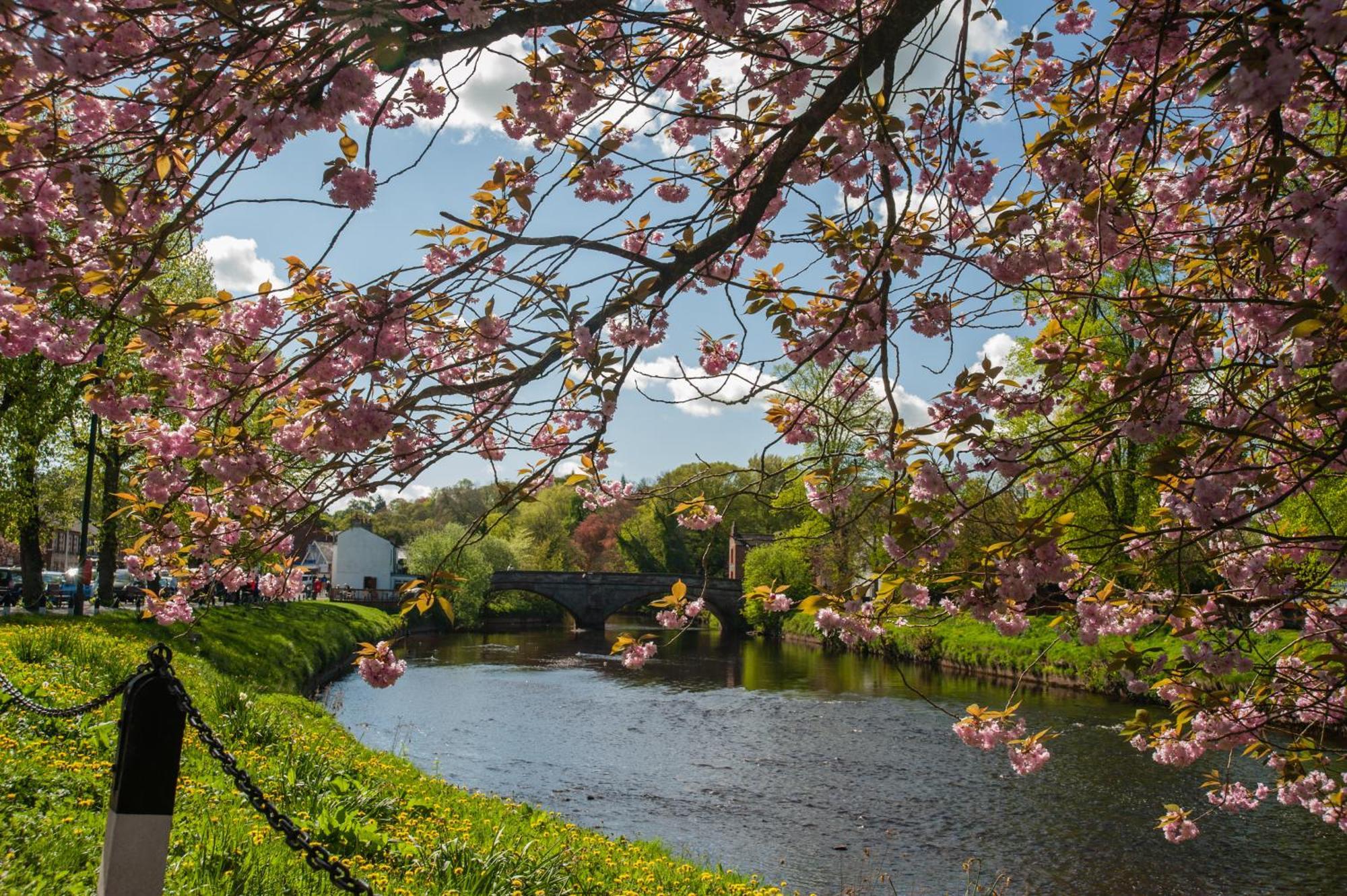 Little Apple Cottage- Free Parking, Hot Tub, Fire, Town Centre Appleby-in-Westmorland Buitenkant foto